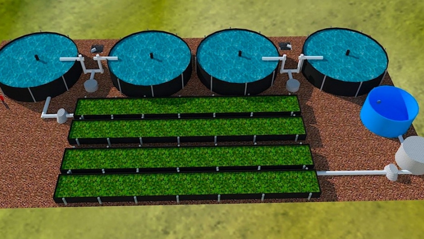 Primer emprendimiento de acuaponia en el país