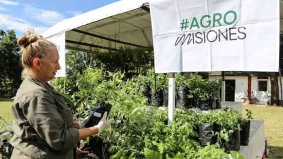 Misiones asiste a productores hortícolas de Gobernador Roca afectados por el temporal