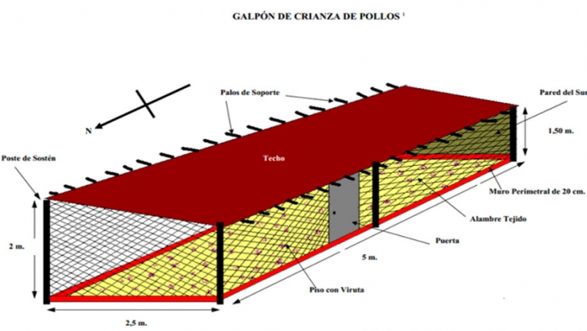Galpón de crianza de Pollos Galpón de crianza de Pollos