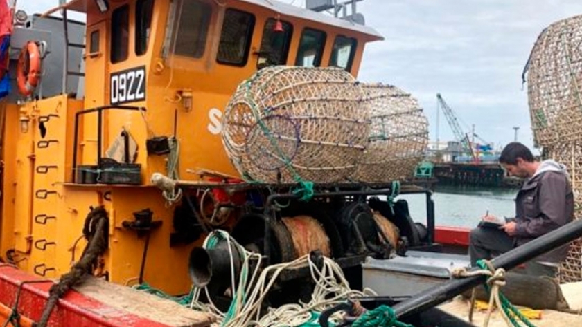 Cómo se controla la calidad del pescado