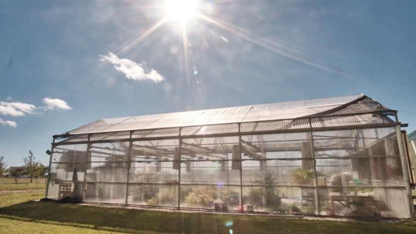 El MINCYT, CONICET y Universidad Nacional del Litoral anunciaron la aprobación del trigo HB4® en Argentina