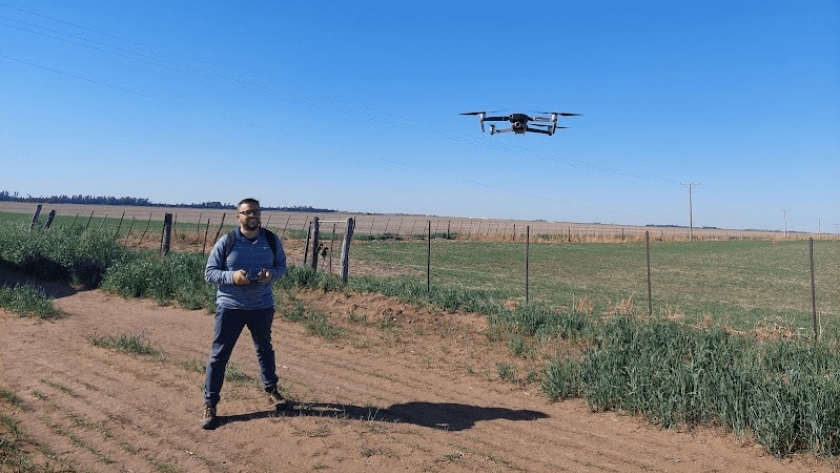 Los drones en agricultura: las ventajas de relevar 100 hectáreas en una hora y convertir imágenes en datos