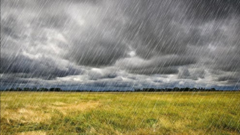 El doble filo de las lluvias: más pasto, más kilos y mayor presión sobre los precios