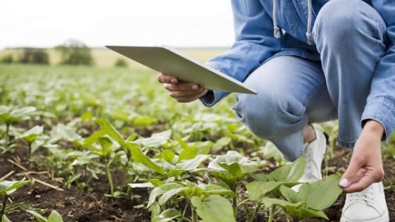 <Charla virtual gratuita sobre planificación agrícola