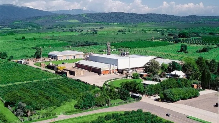 Empresa limonera puso US$ 1 millón como seguro para volver a exportar