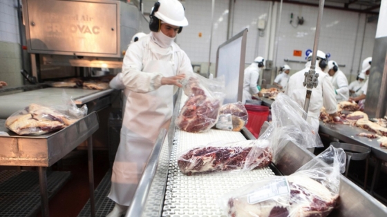 Una nueva medida simplifica y agiliza el reporte de precios bovinos para frigoríficos
