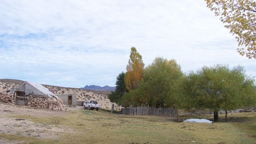 Aprueban proyectos que beneficiarán a familias de productores y comunidades originarias de Río Negro