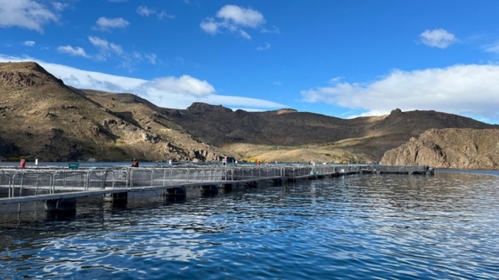 Argentina reafirma su estatus sanitario en la producción de salmónidos de la Norpatagonia