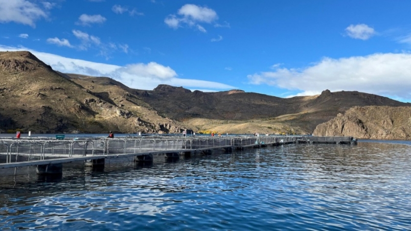 Argentina reafirma su estatus sanitario en la producción de salmónidos de la Norpatagonia