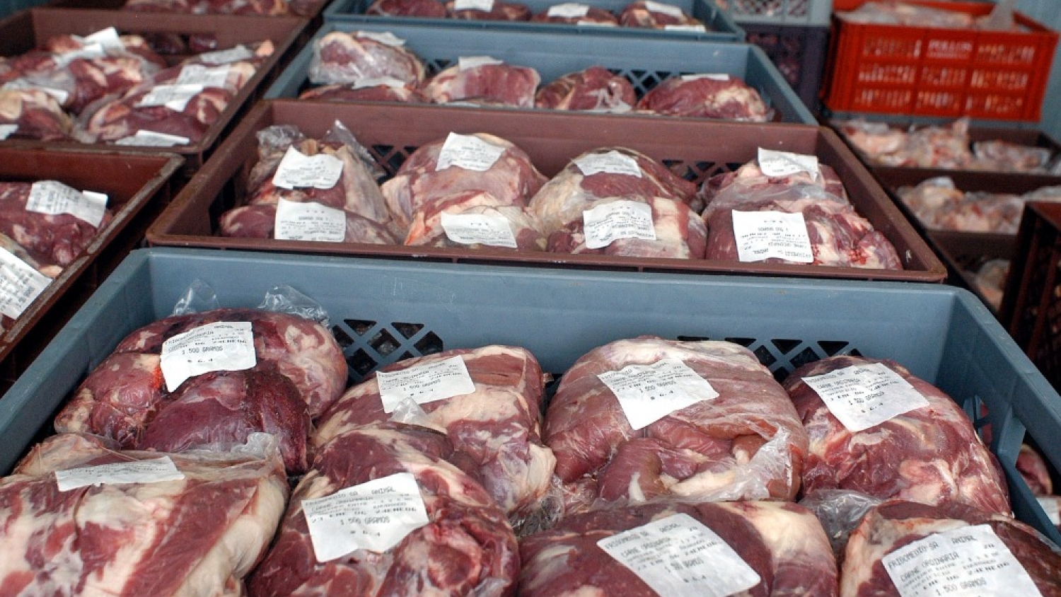 Las exportaciones de carne vacuna cayeron en volumen, pero crecieron casi 20% en ingreso de divisas
