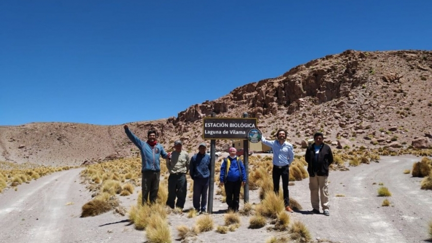 Biodiversidad. Inauguraron la Estación Biológica Laguna de Vilama – Reserva Provincial Alto Andina de la Chinchilla