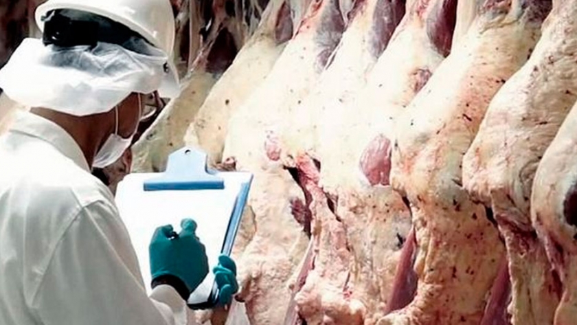 China encontró coronavirus en un cargamento de carne vacuna argentina