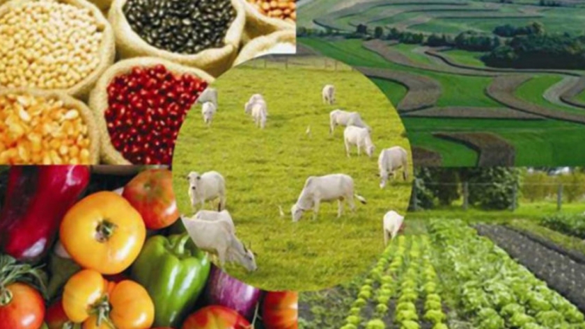 Mendoza Activa: una alternativa de inversión para el sector agroindustrial