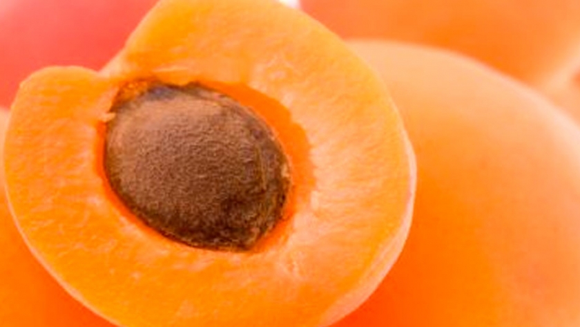 Estiman cosechas más bajas en productos frutícolas