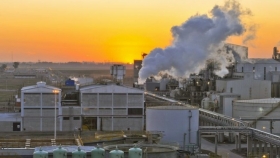 Soja: la industria aceitera recuperó capacidad de pago y el aceite podría volver a impulsar los precios