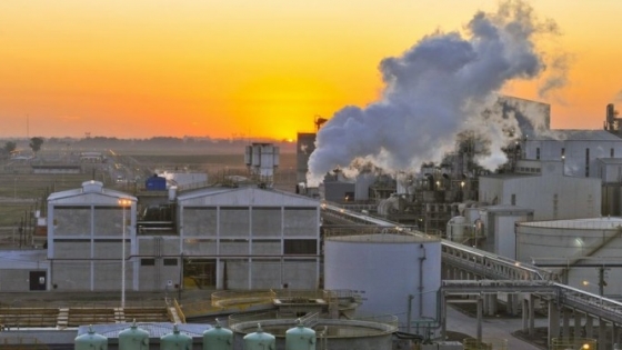 Soja: la industria aceitera recuperó capacidad de pago y el aceite podría volver a impulsar los precios