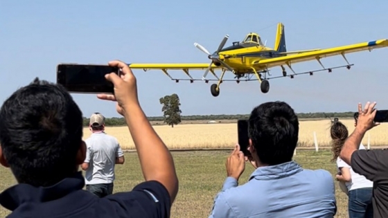 Cómo Argentina logró convertirse en referente global en el control de la langosta