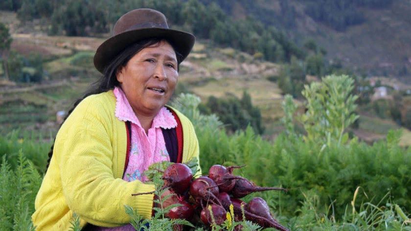 Orkidea Andina promete impulsar la producción agrícola de las familias del Altiplano