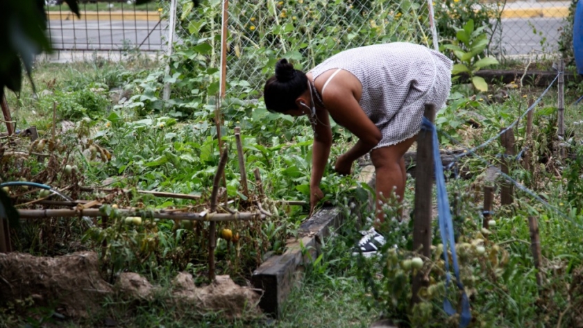 Ambiente financia el centro agroecológico más grande de CABA en el marco del plan integral Casa Común