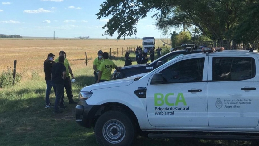 La BCA comenzó el traslado de los animales cautivos hallados en Balcarce