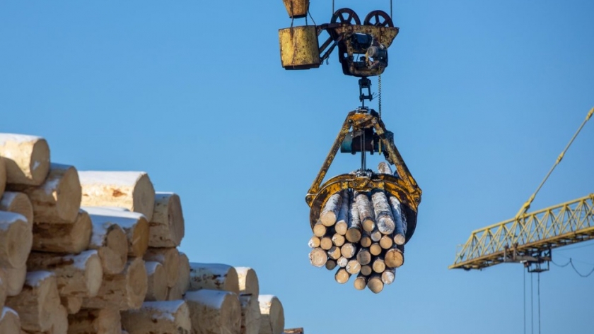 La inestabilidad europea altera los mercados mundiales de la madera