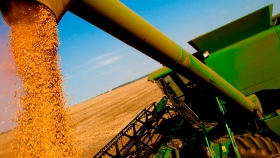 SENASA: Requisitos para exportar soja, maíz, cebada, y sorgo a China