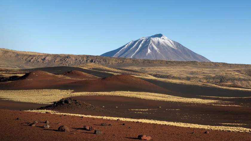 La Payunia: Un paraíso de volcanes y guanacos en el corazón de Mendoza