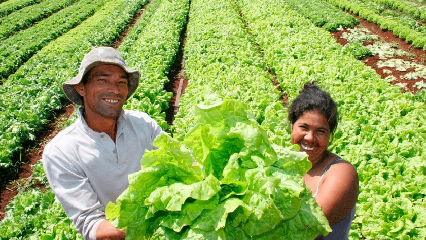 Agricultores familiares, clave para lograr el hambre cero