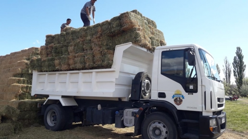 El Gobierno del Chubut continúa con la provisión de forraje para pequeños productores