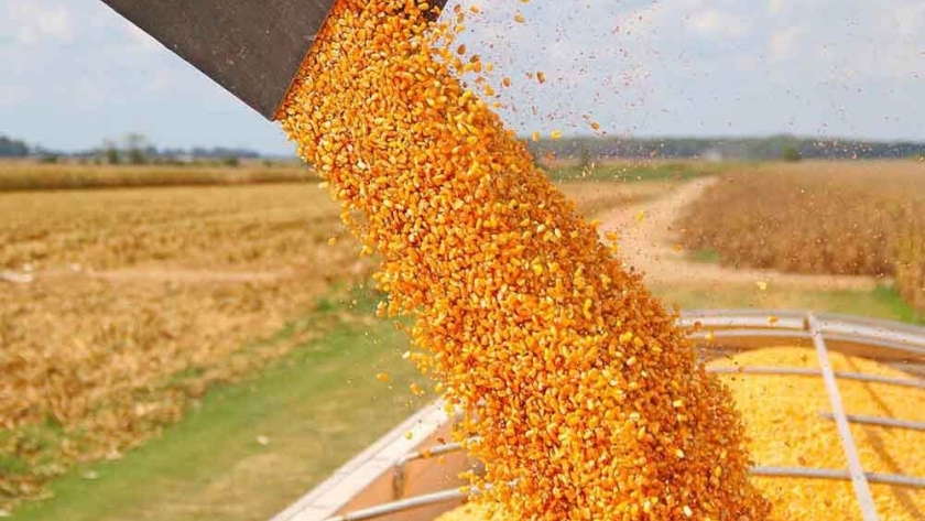 Los envíos de maíz de EE. UU. ya están coqueteando con máximos históricos