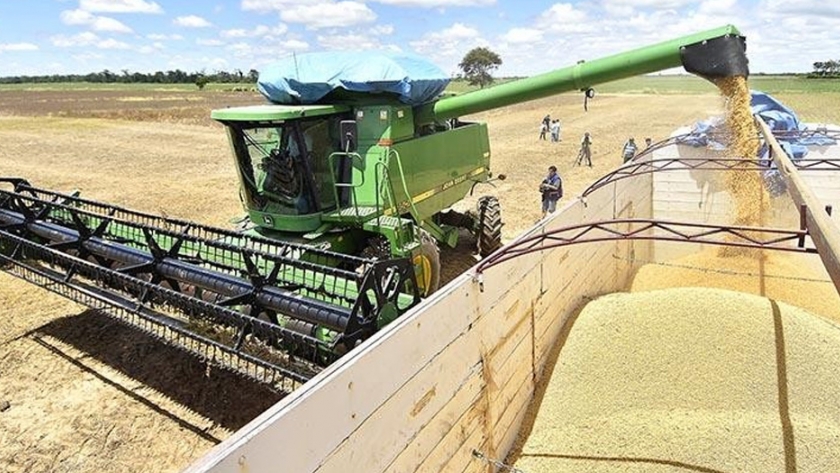 Productores agropecuarios piden mantener libre exportación de granos y concretar 