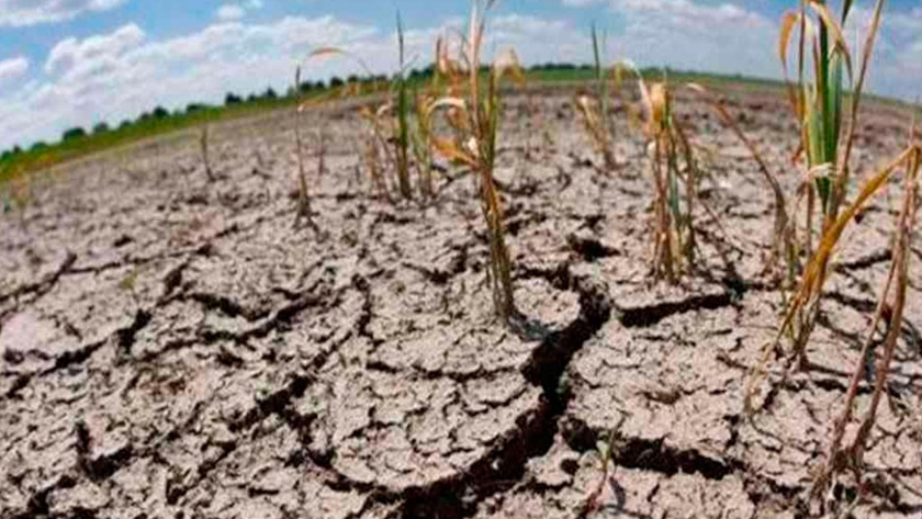 Agricultura declarará emergencia agropecuaria para Corrientes y Chaco