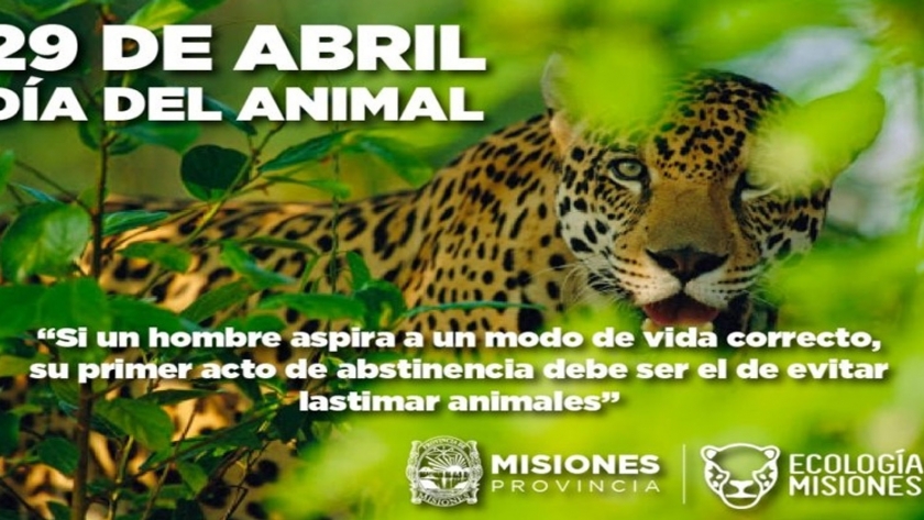 29 de abril día nacional del animal