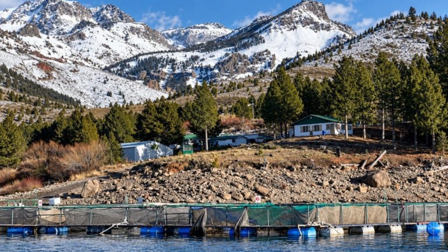 Acuicultura en Argentina: Puerto Madryn reunirá a científicos y empresas