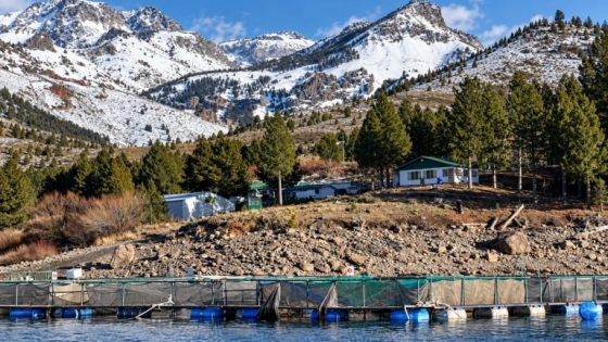 Acuicultura en Argentina: Puerto Madryn reunirá a científicos y empresas