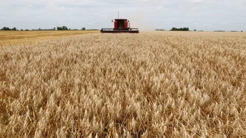 Tokenización de activos: aseguran que el agro argentino tiene un potencial de USD 60.000 millones