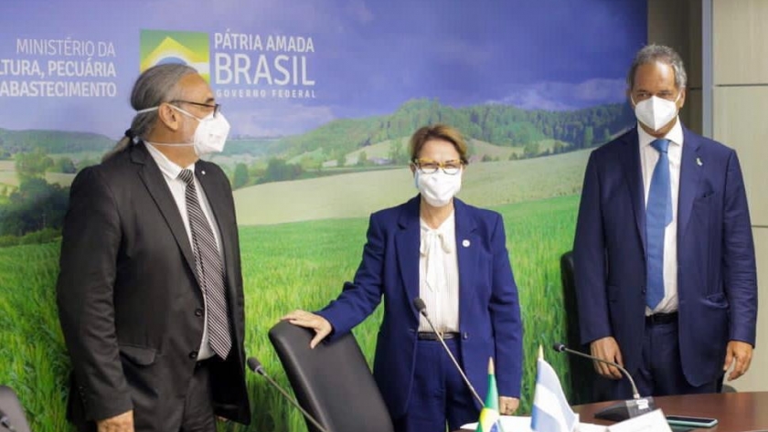 Brasil facilita el ingreso de uvas argentinas