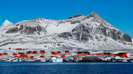 Ushuaia: polémica por la construcción del Polo Logístico Antártico