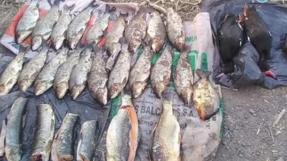 Decomisan, animales y elementos empleados en la caza y pesca furtiva