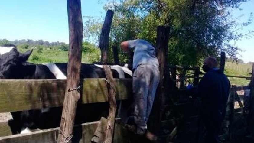 Con mucho apoyo oficial, la UTT planea instalar una fábrica láctea para 40 tambos familiares en San Vicente