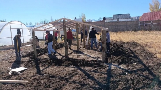 Chos Malal impulsa la producción agroecológica con el Plan de Invernaderos PRODA