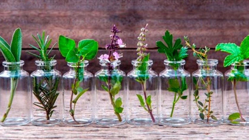 El mercado de las aromáticas