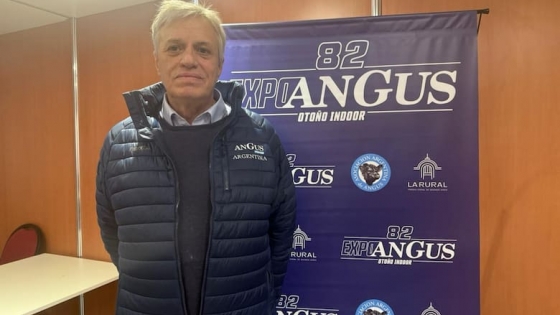 Una oportunidad histórica: el fenómeno global que potencia la carne Angus argentina en el mundo