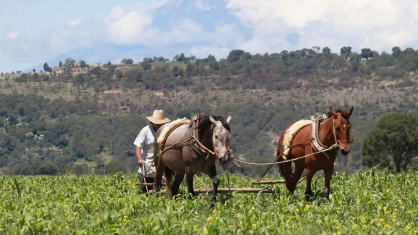 México promueve la práctica de una agricultura rentable, responsable y resiliente