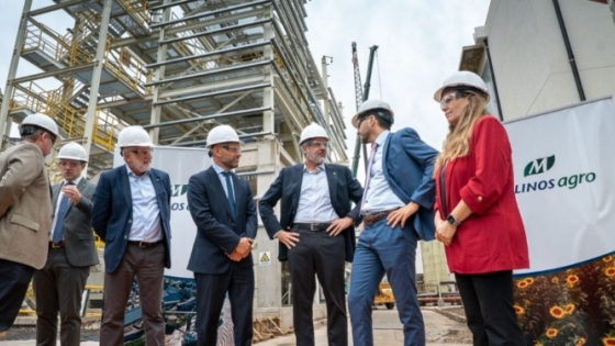 Molinos Agro triplicó sus ganancias en un año impulsado por el girasol, los cereales y los incentivos a las exportaciones