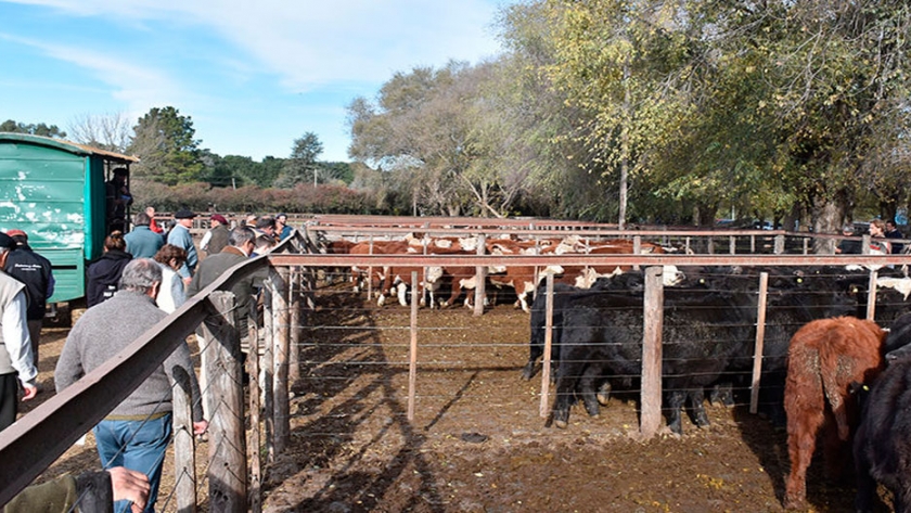 La zafra se va, los precios quedan