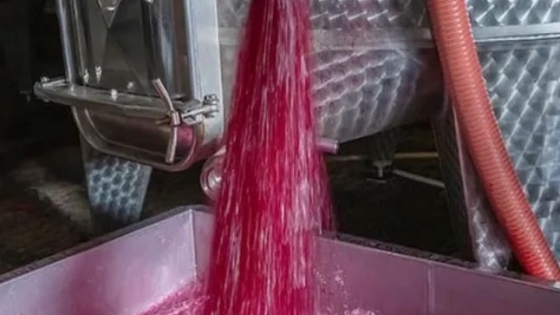 Las exportaciones de vino a granel se disparan más de 60% y Mendoza busca consolidarse como centro global del negocio