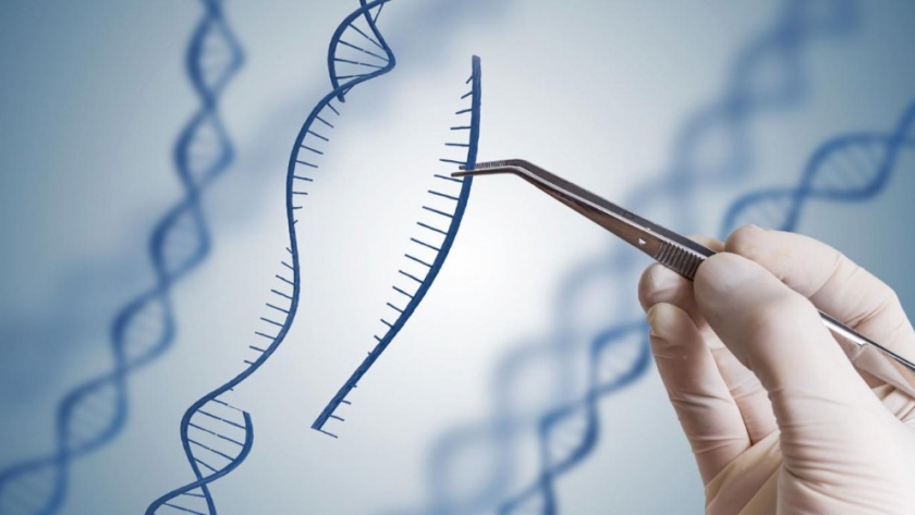 Kheiron Biotech avanza en sus investigaciones sobre edición genética