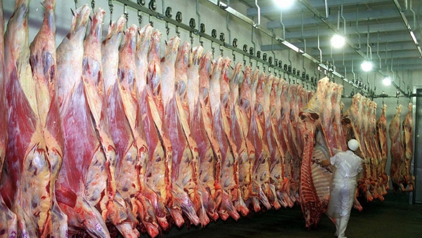 Faena de bovinos en frigoríficos exportadores bajó 18,2% en noviembre
