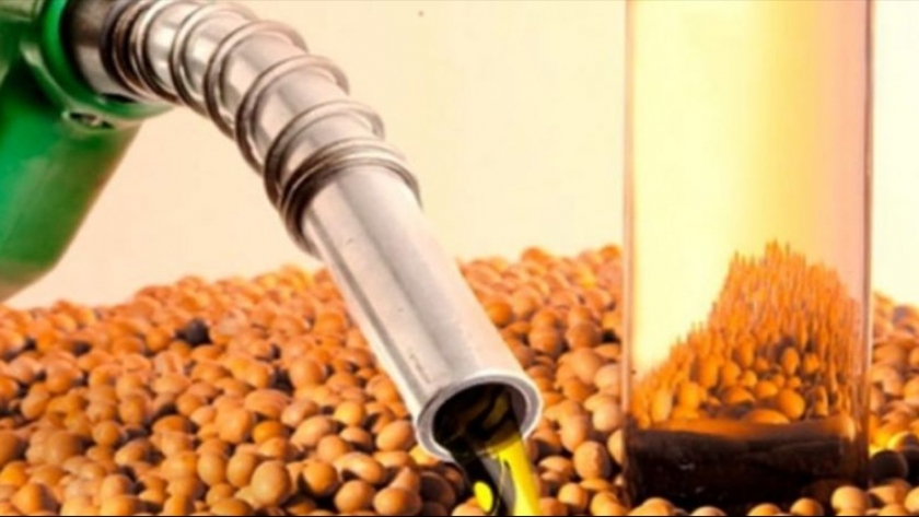 El diesel renovable pierde impulso